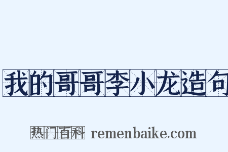 我的哥哥李小龙造句是什么意思的图片